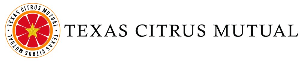 TCM Option 1 Full Logo